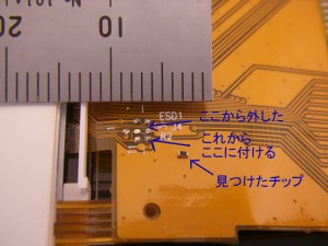 この写真を撮っているときはまだ心臓がどきどきしています