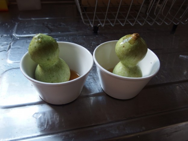 収穫したひょうたんの乾燥