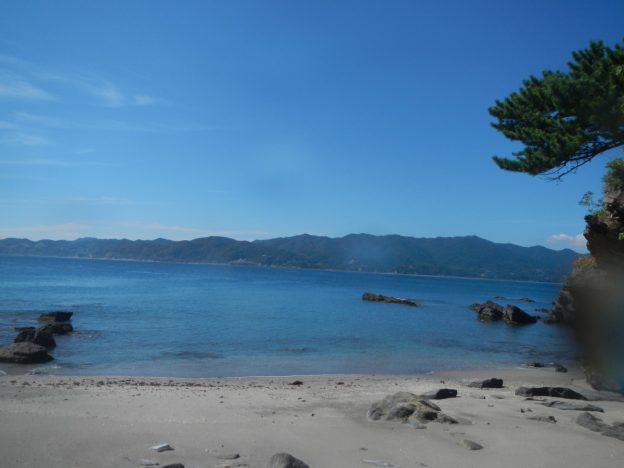 沼島の海遊びで見つけたもの